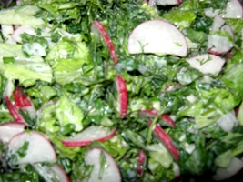 салат из редиски и огурца с зеленью