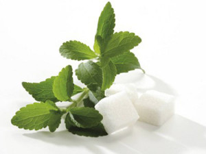 stevia 300x225 Сахарозаменители, которые мы выбираем.